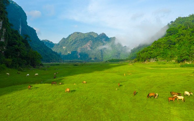 Ph&aacute;t hiện thảo nguy&ecirc;n gần 100 ha c&aacute;ch H&agrave; Nội 130 km như "M&ocirc;ng Cổ thu nhỏ", l&agrave;ng đang tranh giải thế giới - Ảnh 2.