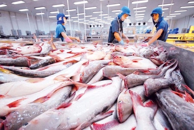 Trung Quốc, Nhật Bản, Brazil đồng loạt báo tin vui cho Việt Nam - Ảnh 1.