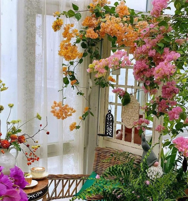 Lời khuyên cho các gia đình để các chậu cây cảnh trên tầng cao - Ảnh 3. Lời khuyên cho các gia đình để các chậu cây cảnh trên tầng cao - Ảnh 3.