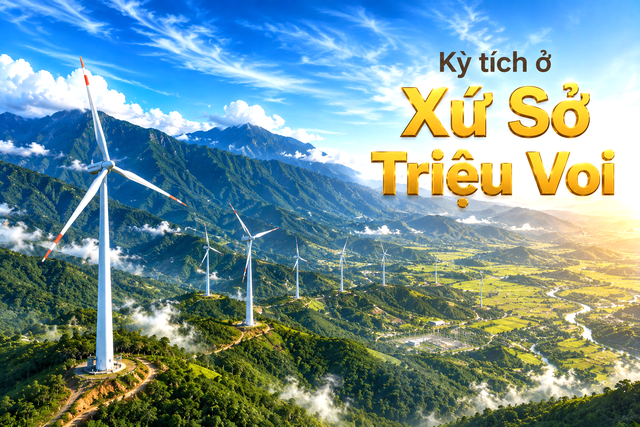 Kỳ tích thần tốc ở "xứ sở Triệu Voi" của người Việt: 16 tháng đưa dòng điện triệu USD về phục vụ Tổ quốc - Ảnh 2.
