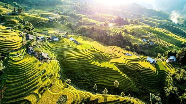 Đặc sản khiến nhiều người Việt nhìn đã e dè, khách Tây thử một miếng rồi khen béo ngậy như kem - Ảnh 5.
