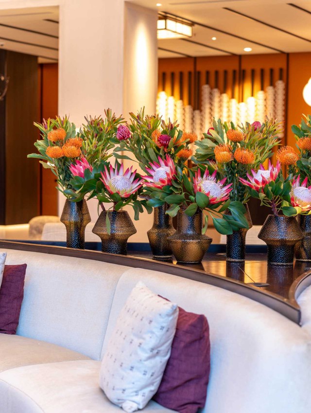 Thảo đường hoàng đế: Loài hoa triệu đồng hút giới trẻ check-in tại TP.HCM - Ảnh 6. Thảo đường hoàng đế: Loài hoa triệu đồng hút giới trẻ check-in tại TP.HCM - Ảnh 6.