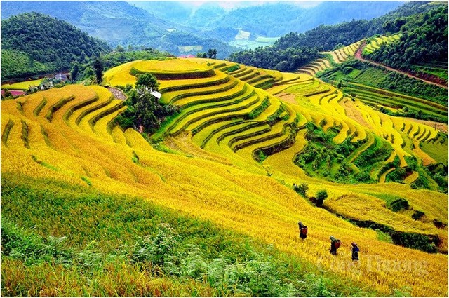 Đặc sản khiến nhiều người Việt nhìn đã ngại, khách Tây thử một miếng rồi khen ngon như bỏng ngô - Ảnh 5.