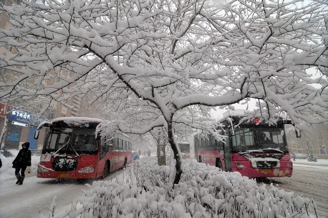 Xe bus đi dưới mưa tuyết ở thành phố Mẫu Đơn Giang, Trung Quốc.