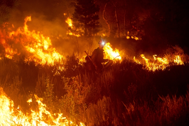 Lính cứu hỏa đứng giữa đám cháy rừng ở Pine, Idaho, Mỹ.