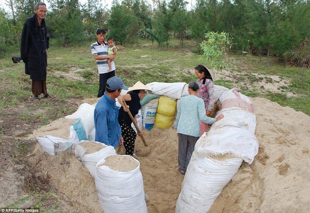 Người dân tự làm hầm để tránh bão khi các nhà khí tượng dự báo cơn bão Haiyan có thể ảnh hưởng tới 6,5 triệu người Việt Nam.