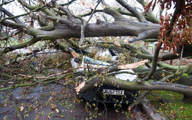 Siêu bão St Jude gây ra gió mạnh làm đổ cây đè lên xe ô  tô ở Chiswick, Anh.