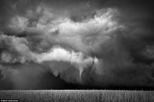  	Bức ảnh “Cánh đồng ngô phễu” chụp lại ảnh một chiếc phễu 	vòi rồng đang hình thành ngay phía trên cánh đồng ngô ở Minesota năm 	2010