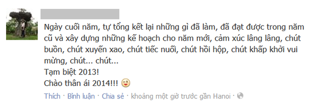  	Chào năm mới với một chút tiếc nuối với những gì chưa làm được của năm cũ.