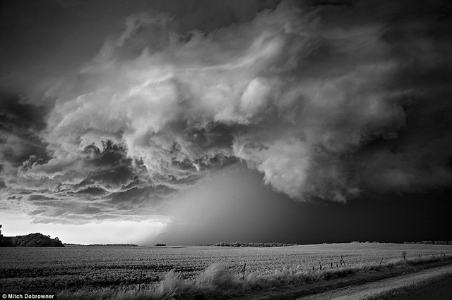  	Bức ảnh “Cơn bão trên cánh đồng” chụp lại cảnh trước mưa bão ở Nam Dakota