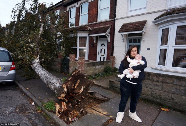 Lo lắng: Sarah Crouch đứng với em bé Frederic, tuổi từ 11 tuần, gần nhà chỉ mét từ cây rơi trong Northfleet, Kent