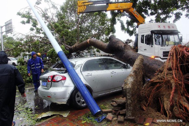 Cột đèn và cây đổ do mưa bão đè bẹp một chiếc ô tô ở thành phố Sanya.