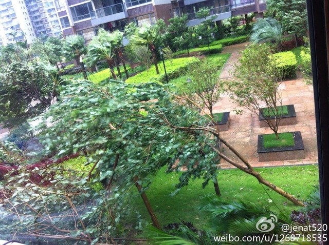 Siêu bão Utor đổ bộ vào thành phố Dương Giang gây ra mưa to và gió lớn.