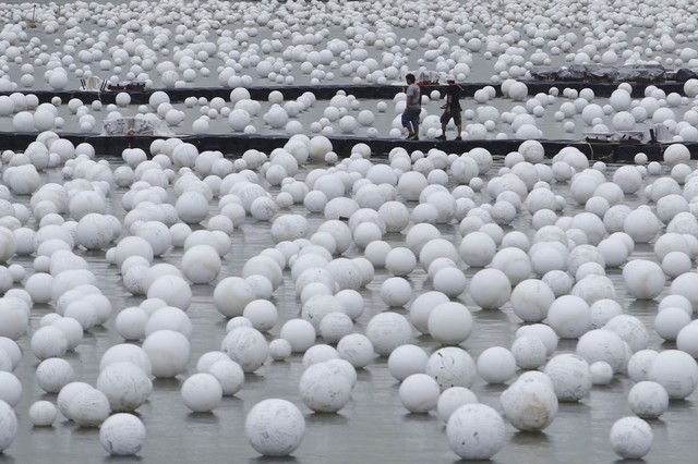 Các công dân đi dọc những quả cầu màu trắng ở Singapore. Mọi người viết mong ước cho năm mới trên những quả cầu trước khi thả chúng xuống sông.