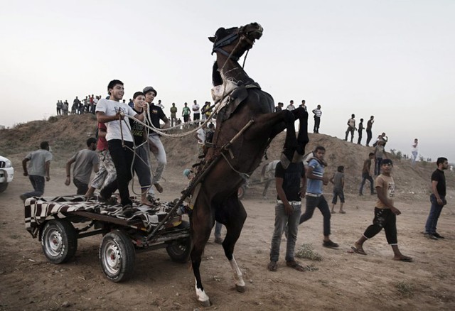 Những người Palestin tham gia một cuộc đua ngựa tại miền bắc Dải Gaza.