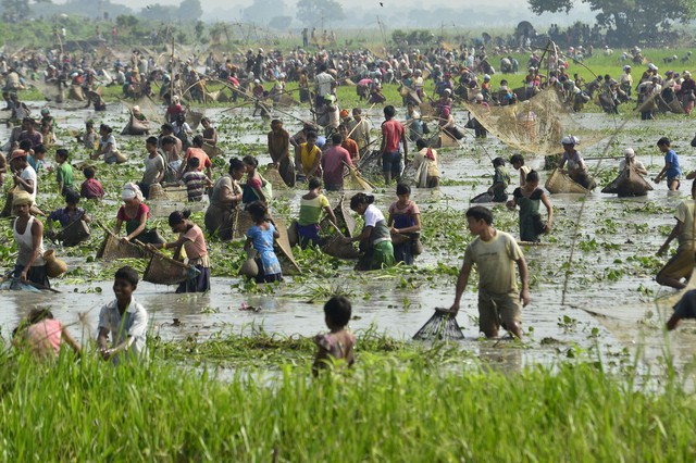 Người dân dùng nhiều cánh khác nhau để bắt cá tại lễ hội Kati Bihu ở ngoại ô Guwahat, Ấn Độ.