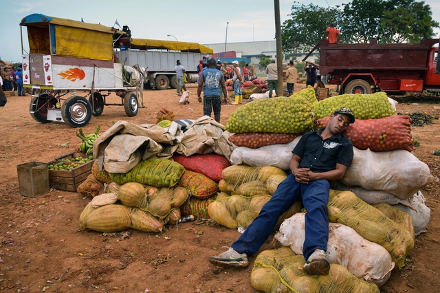 Nông dân Rigoberto Diaz tranh thủ ngủ trong khi chờ khách tới mua hàng tại chợ đầu mối ở Havana, Cuba.