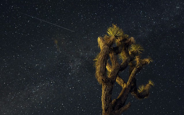 Một vệt sao băng Perseid bay dọc bầu trời đầy sao trên sa mạc Mojave ở Landers, bang California, Mỹ.