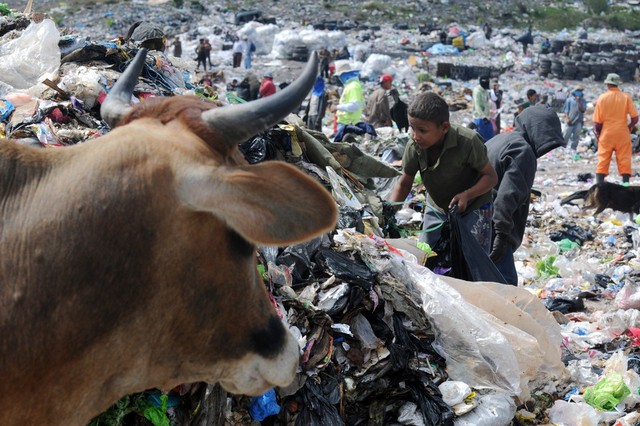 Mọi người tìm kiếm thực phẩm và những đồ có thể tái chế tại một bãi rác ở Tegucigalpa, Honduras.