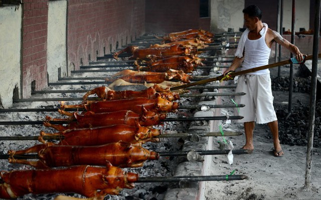 Công nhân làm việc tại một xưởng lợn quay tại thủ đô Manila, Philippines.