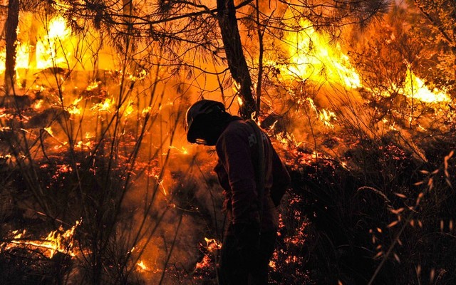 Lính cứu hỏa chiến đấu với cháy rừng gần ngôi làng Misarela và Vicosa ở Guarda, Bồ Đào Nha.
