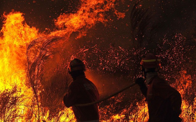 Hai lính cứu hỏa đang chiến đấu với một đám cháy rừng ở Vila Nova de Paiva, Bồ Đào Nha.