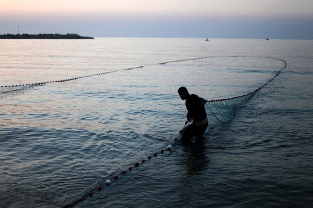 Một ngư dân kéo lưới đánh ca trên bờ biển ở thành phố Gaza.