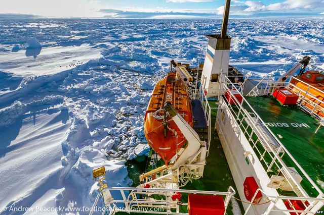 Tàu MV Akademik Shokalskiy của Nga bị mắc kẹt giữa lớp băng dày ở Nam Cực.