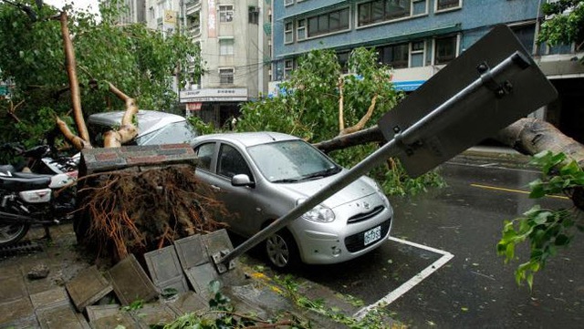 Cây bật gốc đổ vào ô tô ở Đài Bắc.