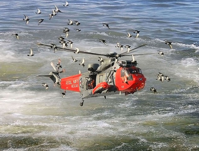 Đàn chim bồ cầu bao quanh chiếc trực thăng Sea King đang tìm kiếm một người lướt ván bị mất tích trên biển ngoài khơi thị trấn Portrush, Bắc Ireland.