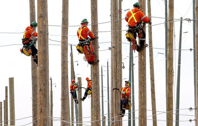 Các sinh viên kỹ thuật truyền tải điện từ trường đại học St. Clair thực hành tại bãi huấn luyện của trường ở Chatham, Medway, Anh.