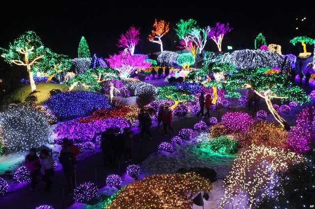 Du khách tham quan khu vườn Morning Calm được trang hoàng ánh sáng đèn màu vào dịp lễ Giáng sinh ở Gapyeong, Hàn Quốc.