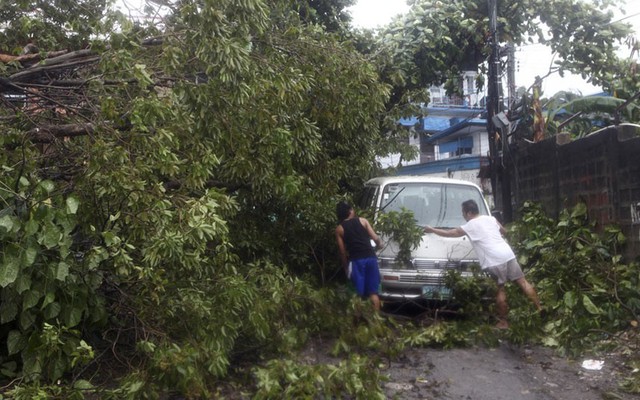 Người dân dọn dẹp đường sau khi gió mạnh làm cây đổ ở thành phố Cebu.