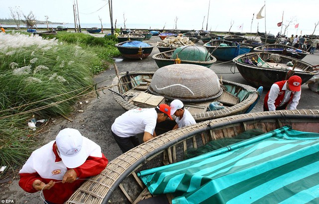 Ngư dân đang neo thuyền để giảm thiệt hại ở mức tối thiểu khi siêu bão Haiyan đổ bộ vào Việt Nam.