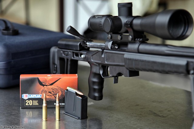 Hai phiên bản chính của loại súng T-5000 sử dụng loại đạn 7.62x51mm cho tầm bắn ngắn và loại đạn8.6x70mm cho tầm xa.