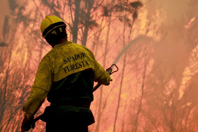 Lính cứu hỏa vất vả chiến đấu với cháy rừng ở Gois, Bồ Đào Nha.