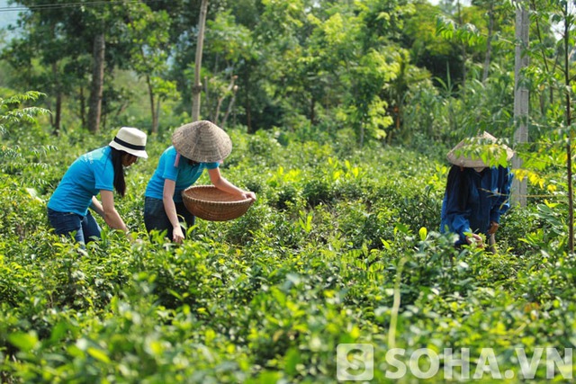 Trải nghiệm thú vị cùng thủ khoa ĐH xuất sắc 2013 tại Ba vì