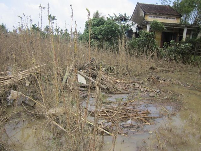 
	Những cánh đồng chết