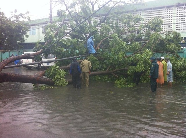 	Các đơn vị phòng chống ứng cứu bão lụt thành phố Đà Nẵng cưa cây, giải tỏa đường xá. Ảnh: Tri thức