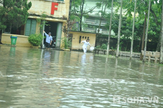 	Có nơi ngập sâu đến đầu gối