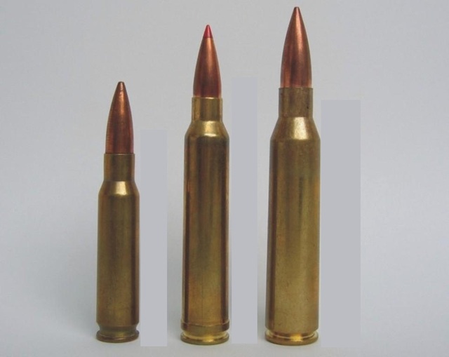 3 trong số các loại đạn cho MSR, từ trái qua 7.62x51mm Winchester, &.62x67mm, 8.6x69mm
