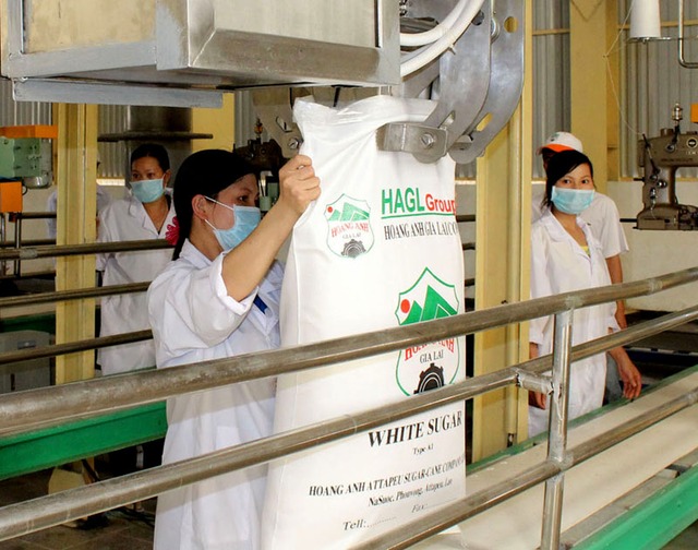 Cùng cạnh tranh xuất khẩu tiểu ngạch sang Trung Quốc, HAGL có ưu thế tốt về giá đường, có thể hạ giá để dành thị trường, “đánh chết” ngành đường trong nước.