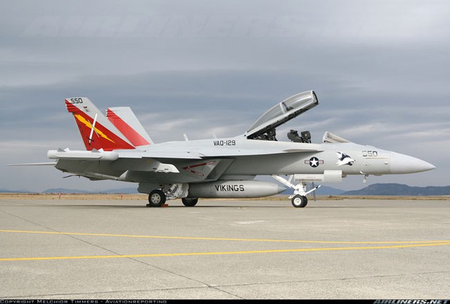 EA-18G có 2 khoang treo lần lượt tên là khoang treo 99 và 218. Khoang treo 99 có hình thù kỳ lạ, mô hình gây nhiễu của nó đã chuyển từ gây nhiễu kiểu rải bom trước đây sang gây nhiễu chính xác.