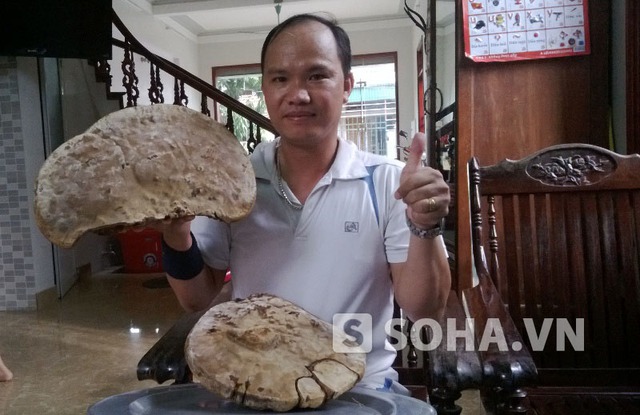 	Anh Trần Văn Thọ kheo 2 cây nấm linh chi hái được