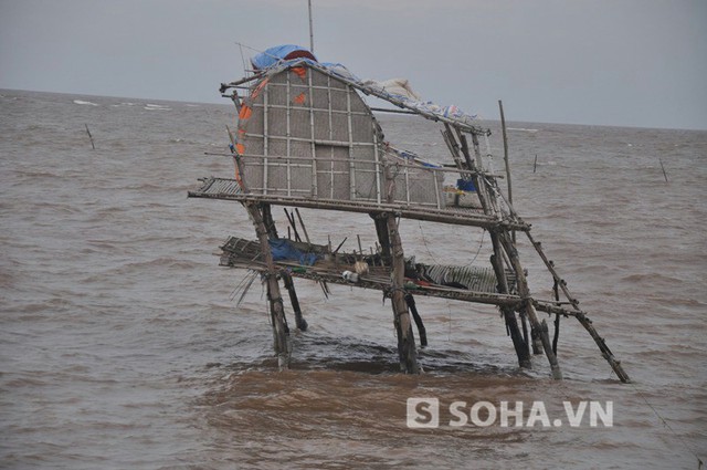 
	Nhiều chòi canh ngao đã trở lên xiêu vẹo trước bão.