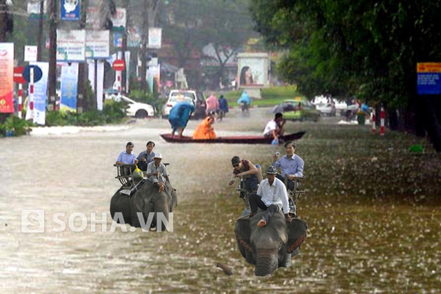 Những phát minh siêu độc để tránh lụt của người Hà 