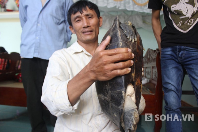 Những con vật bình thường bỗng dưng thành thánh thần ở Việt Nam