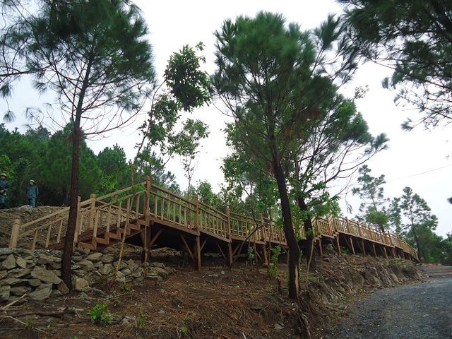 
	Toàn cảnh “cây cầu thang” bằng gỗ từ dưới nhìn lên.