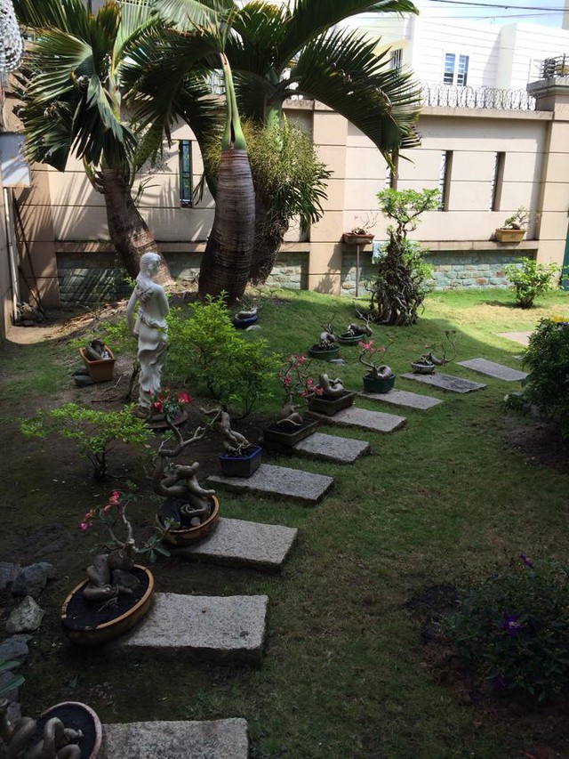 Một phần khu vườn trong biệt thự của Cao Thái Sơn được anh chia sẻ trước đó.