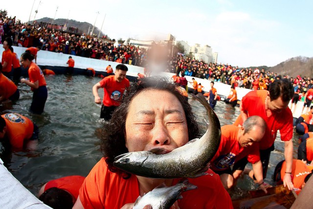 Khách du lịch bắt cá tại lễ hội băng Hwacheon Sancheoneo ở Hwacheon-gun, Hàn Quốc.